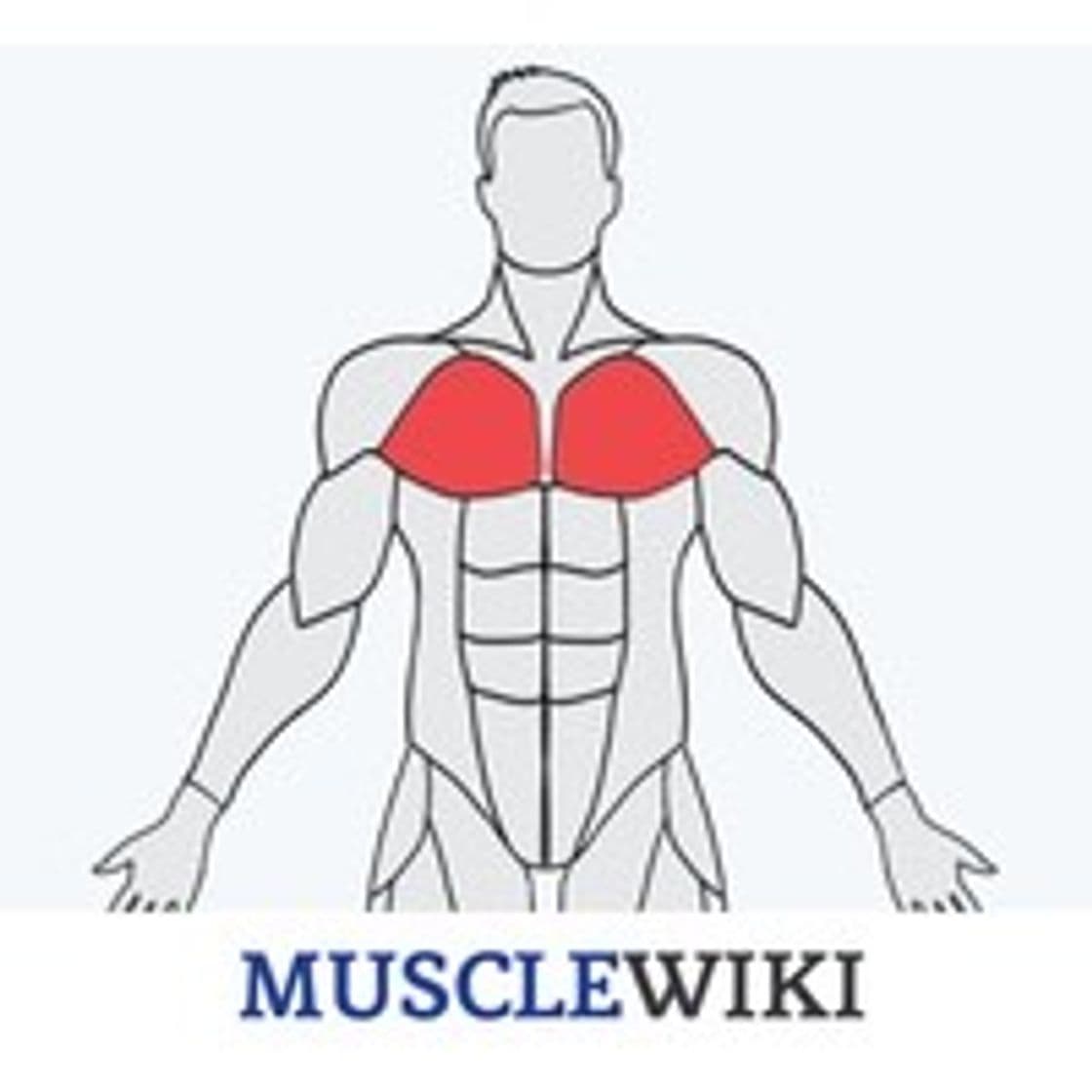 Fashion Muscle wiki 