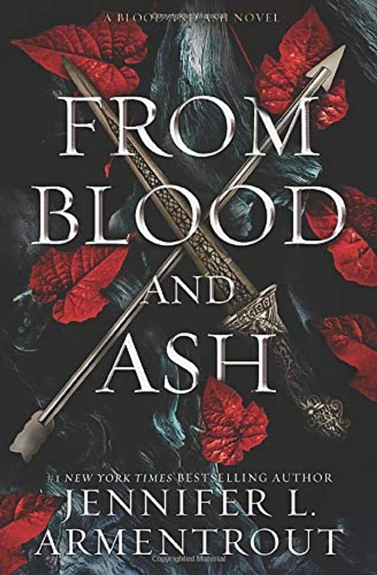 Book From Blood and Ash