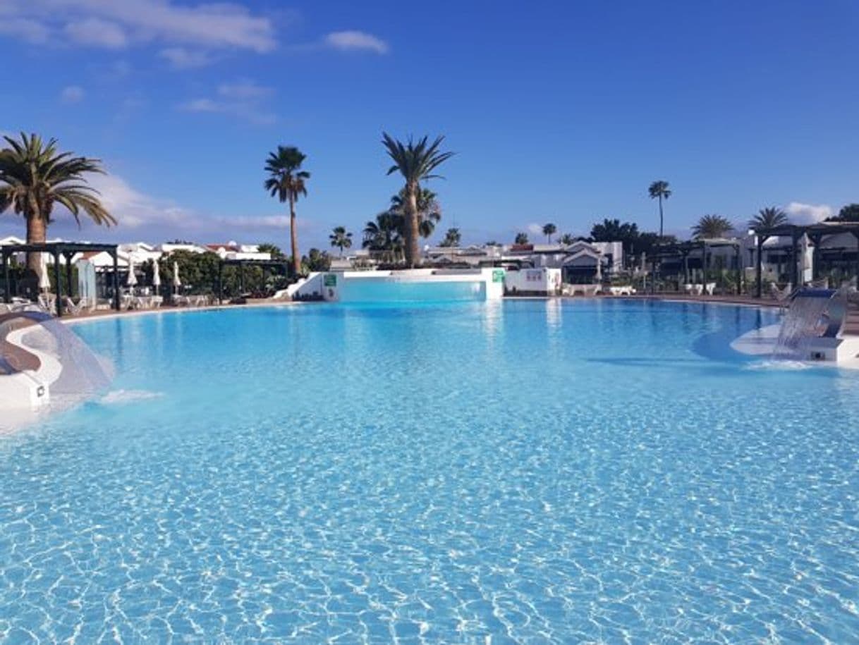 Place Maspalomas Lago Canary Sunset