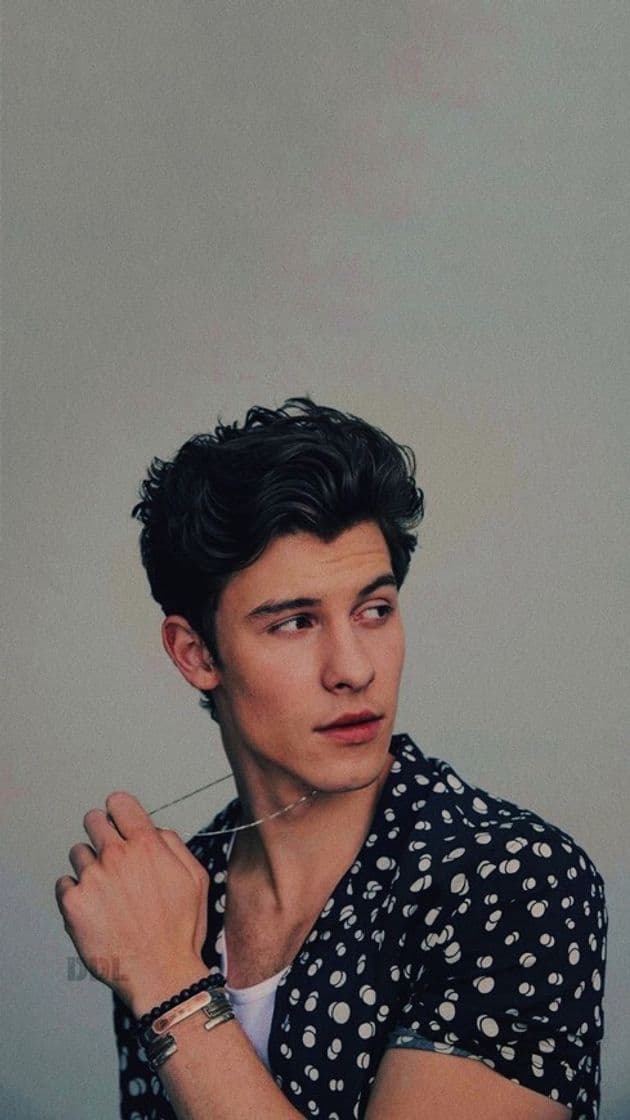 Fashion Shawn mendes