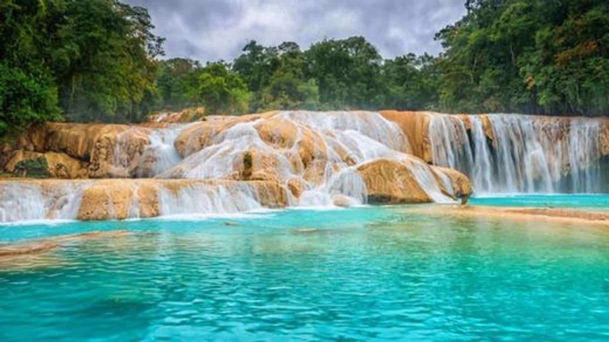 Place Cascadas de Agua Azul