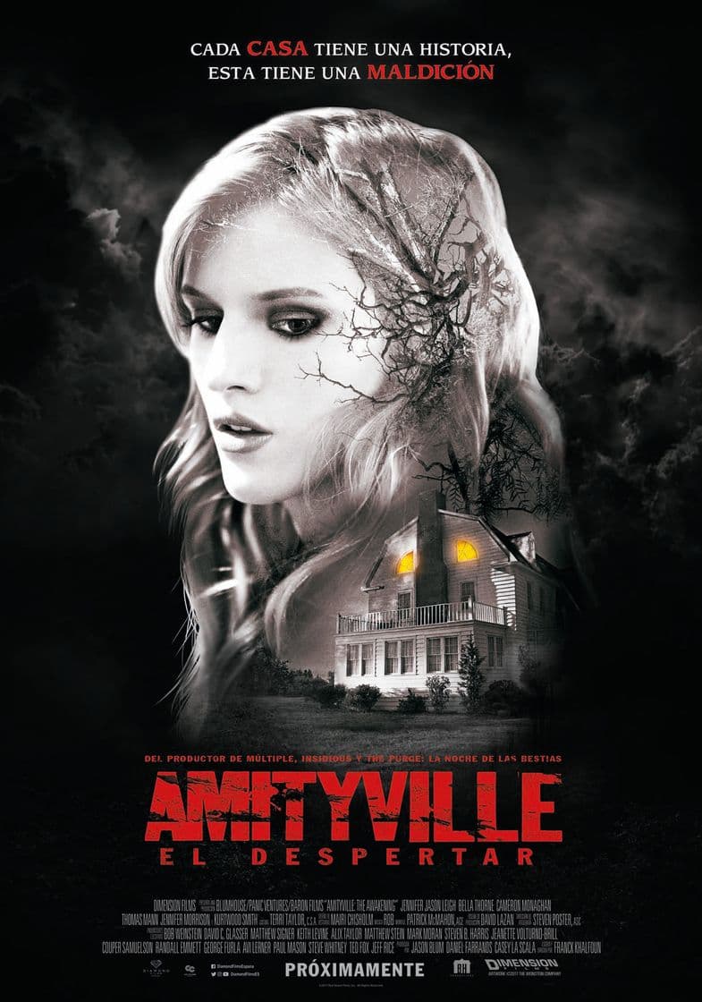 Película Amityville: The Awakening