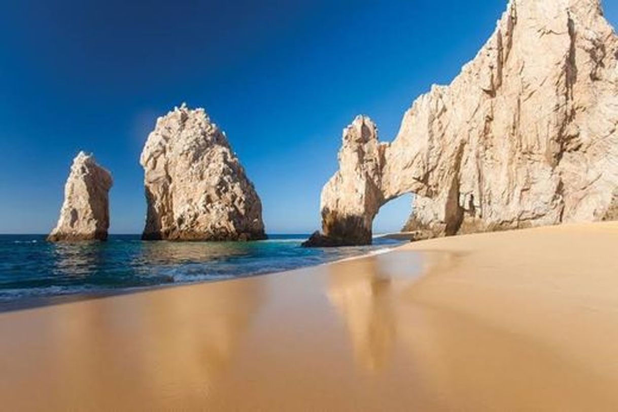 Place El Arco de Cabo San Lucas