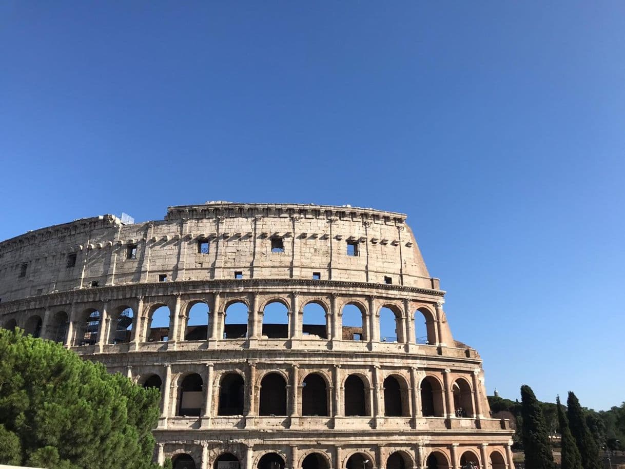 Lugar Coliseo de Roma