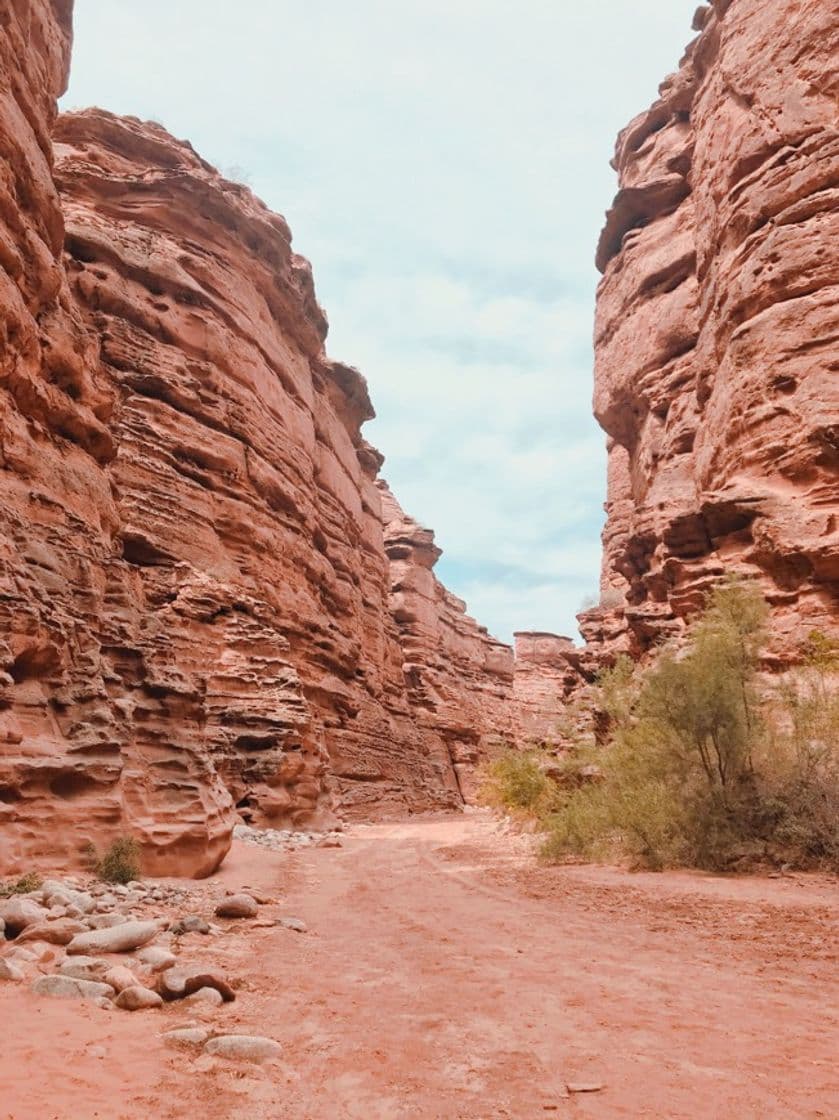 Lugar Parque Nacional de Talampaya