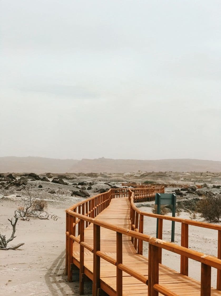 Lugar Parque Provincial Ischigualasto