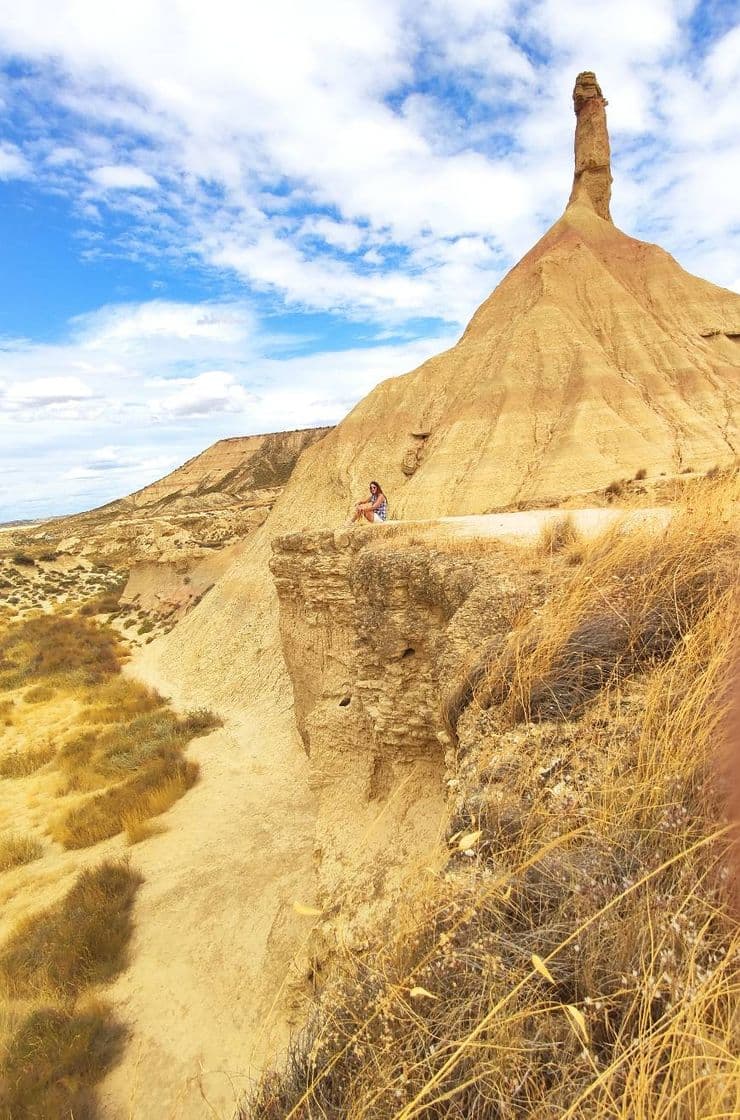 Place Bardenas Reales