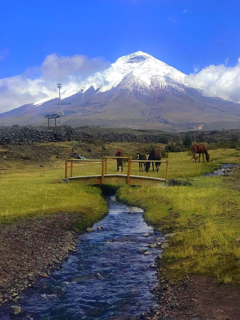 Lugar Cotopaxi