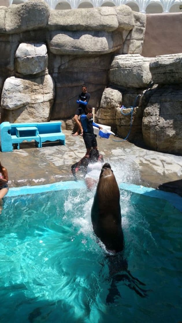 Place Ocean World Adventure Park, Puerto Plata