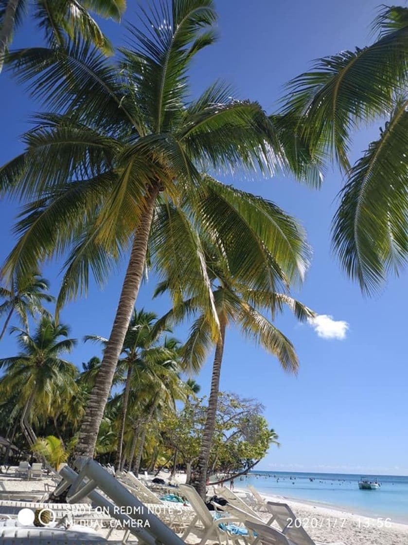 Place Isla Saona