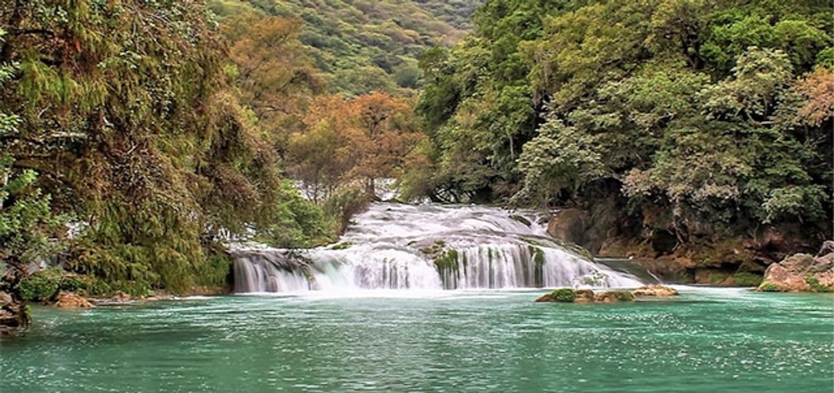 Lugar Cascadas de Micos