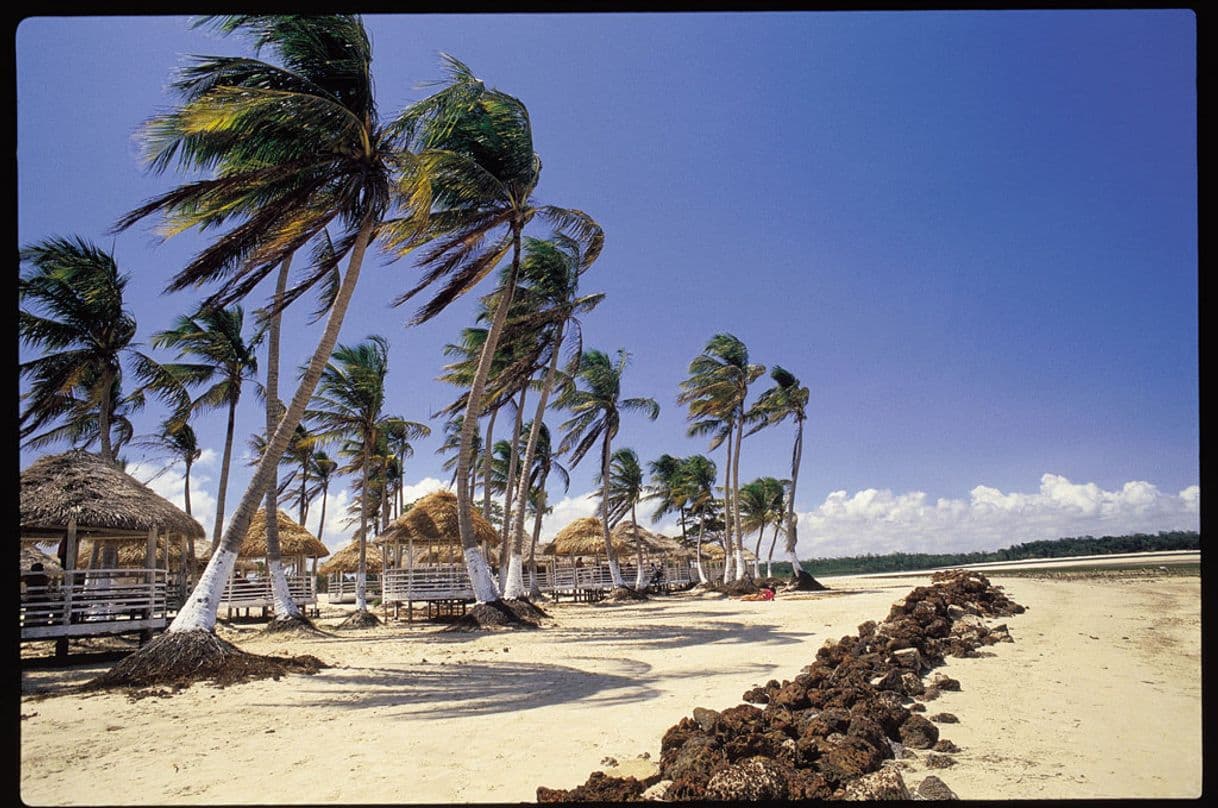 Place Ilha de Marajó