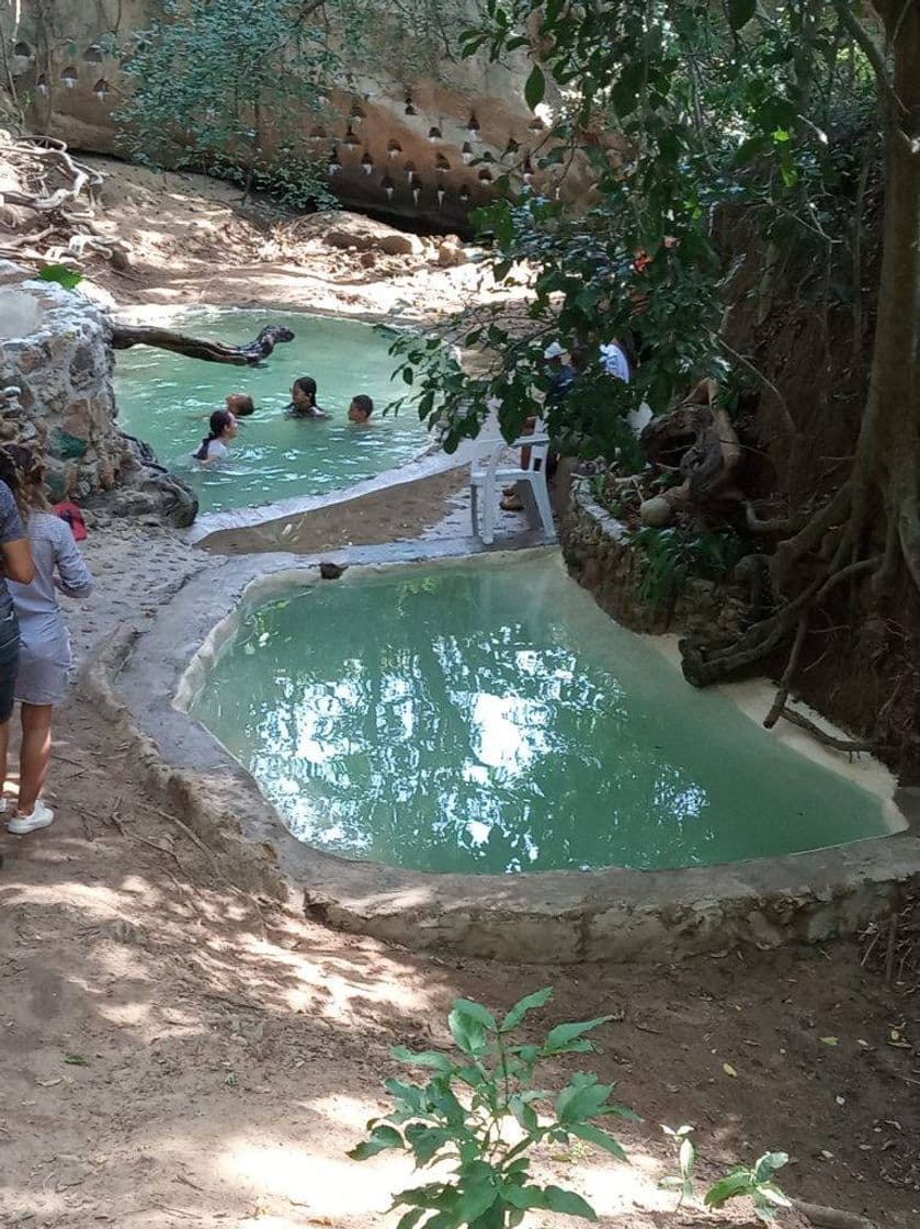 Lugar Terra verde Camping