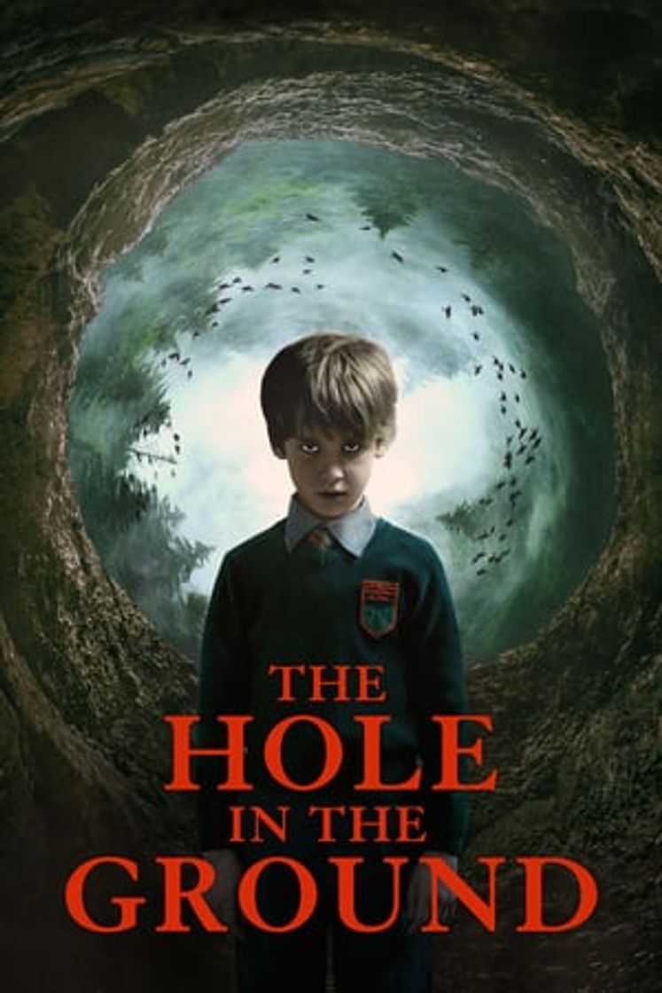 Película The Hole in the Ground