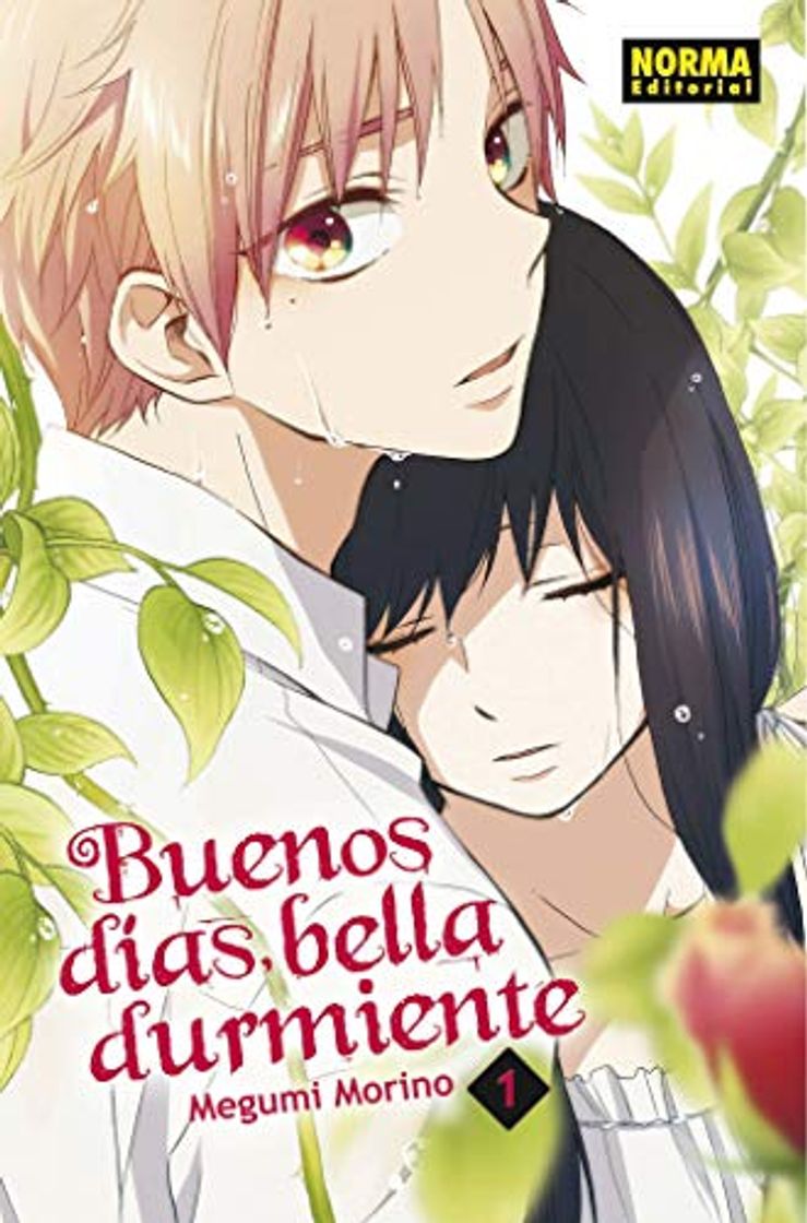 Book Buenos Días, Bella Durmiente 1