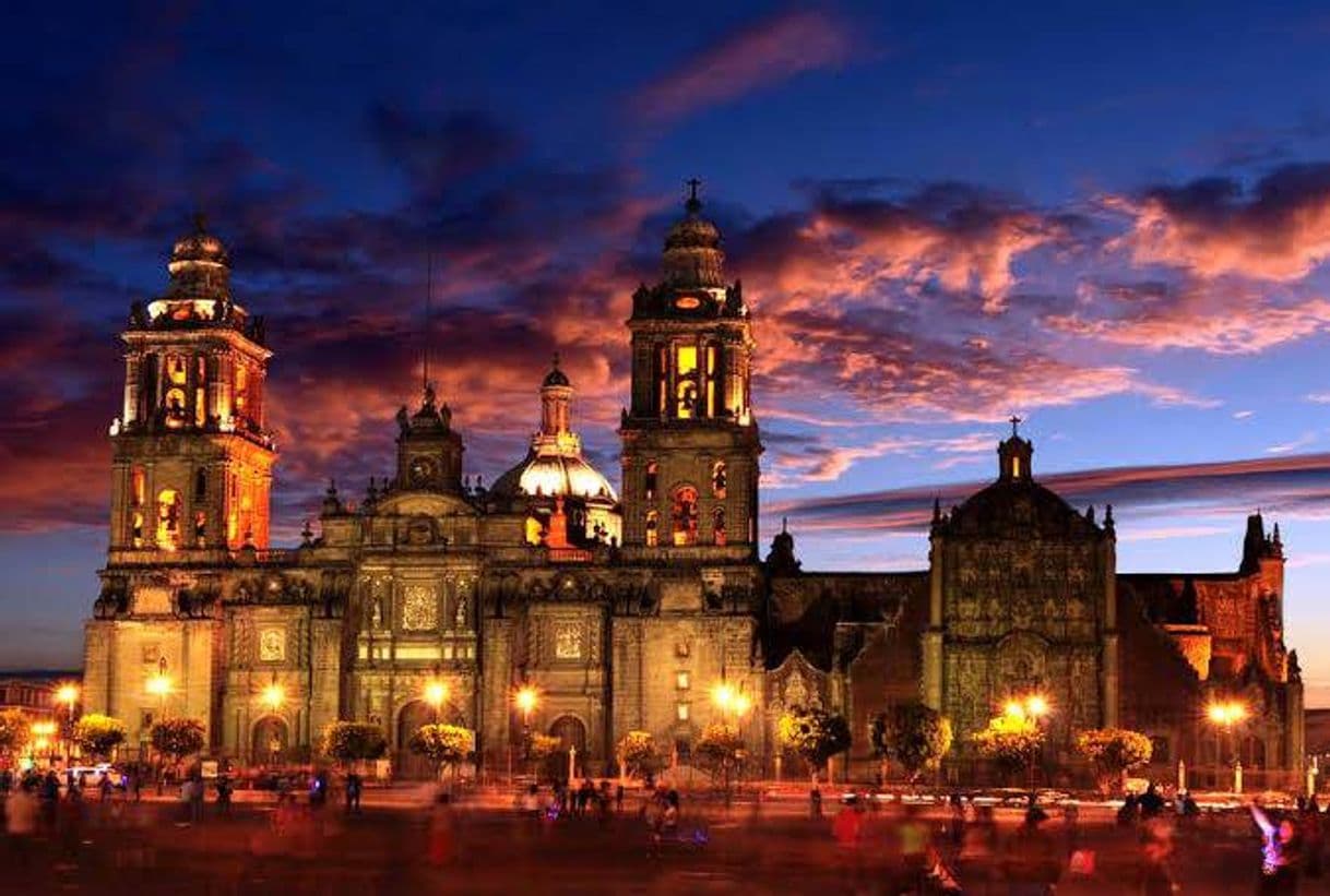 Place Catedral Metropolitana de la Asunción de María