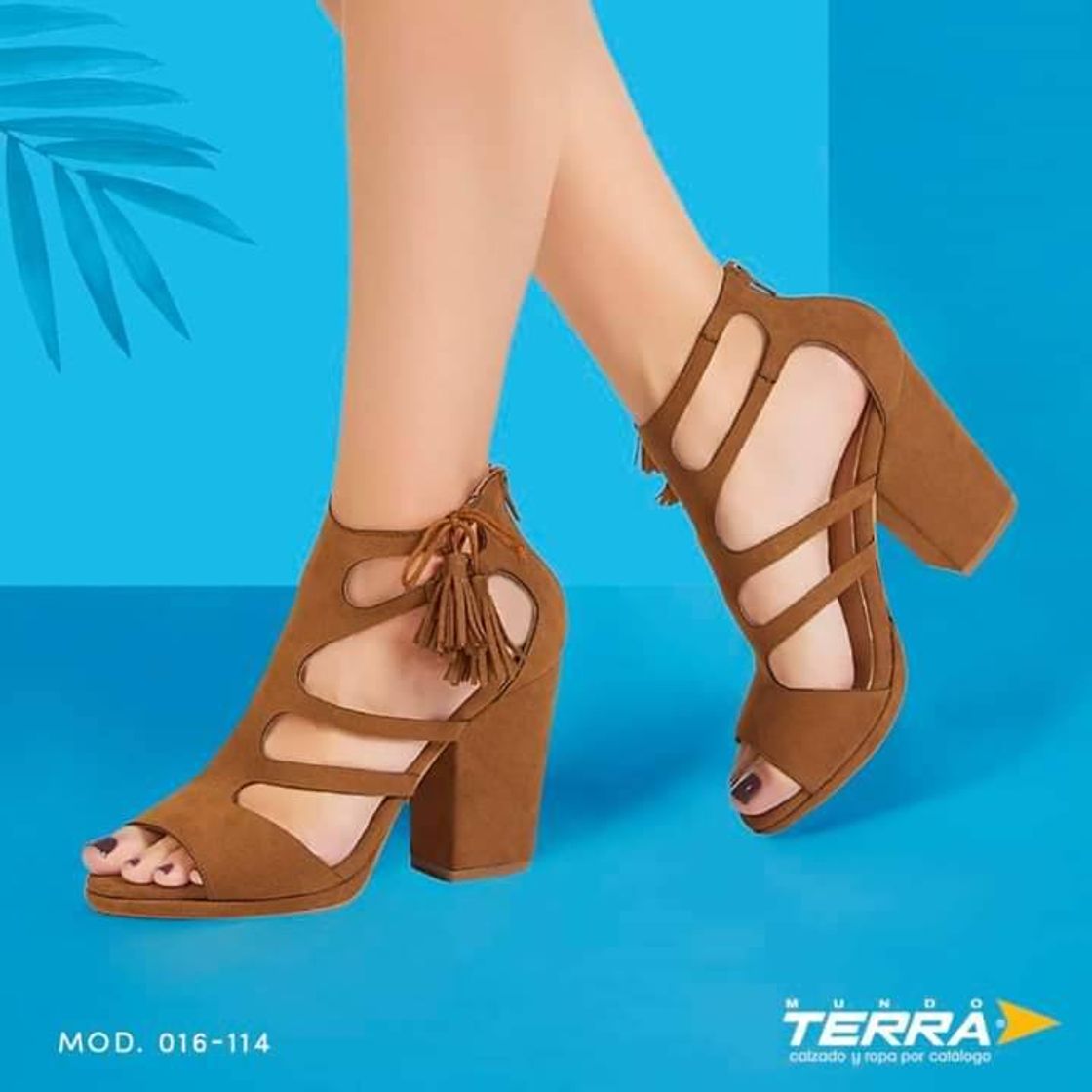 Product Terra