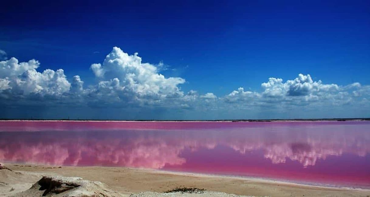 Place Las Coloradas Yucatan