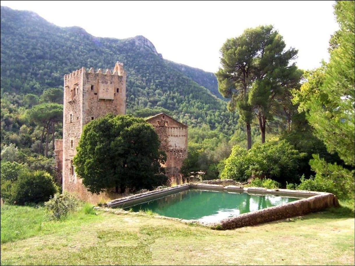 Lugar Monasterio de Santa Maria de la Murta