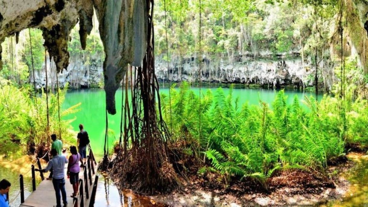 Place Parque Nacional Los Tres Ojos