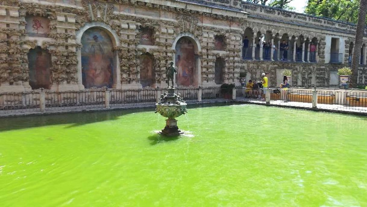 Place Real Alcázar de Sevilla