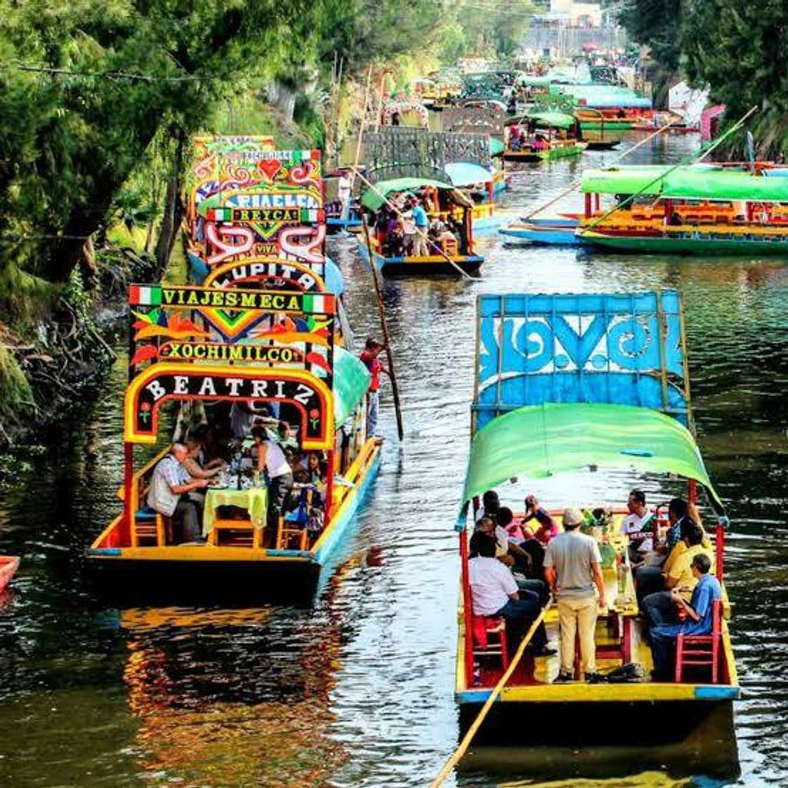 Lugar Trajineras Xochimilco Mágico