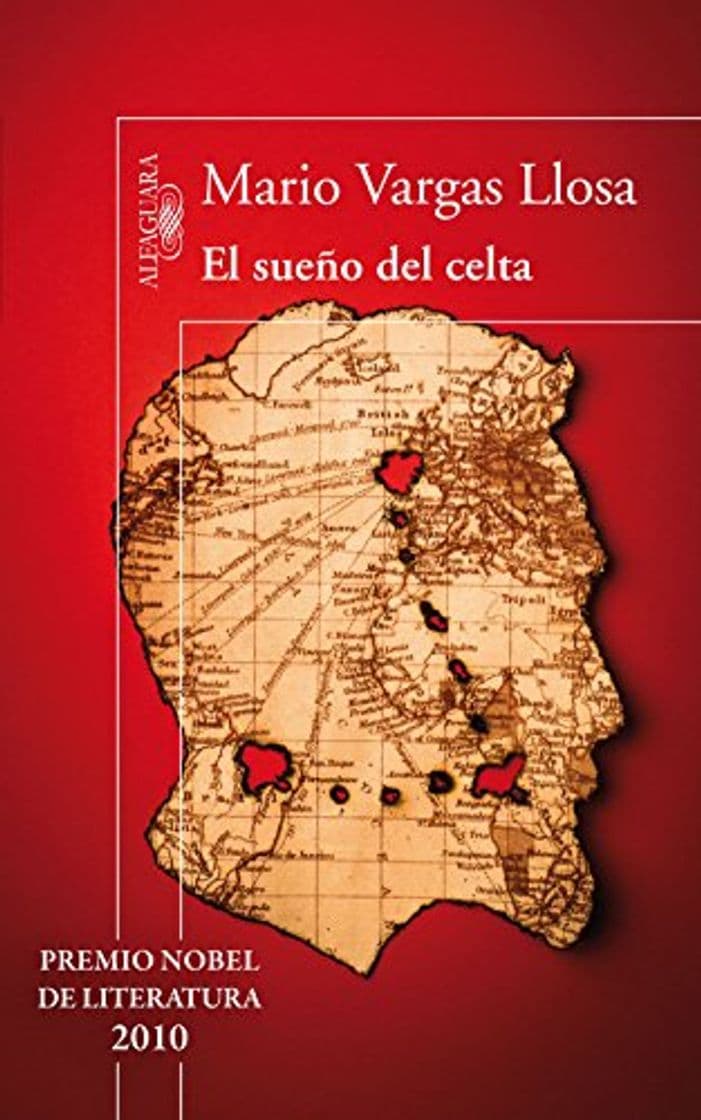 Book El sueño del celta