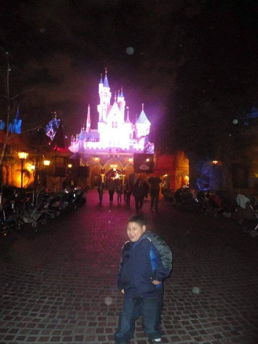 Place Disneyland