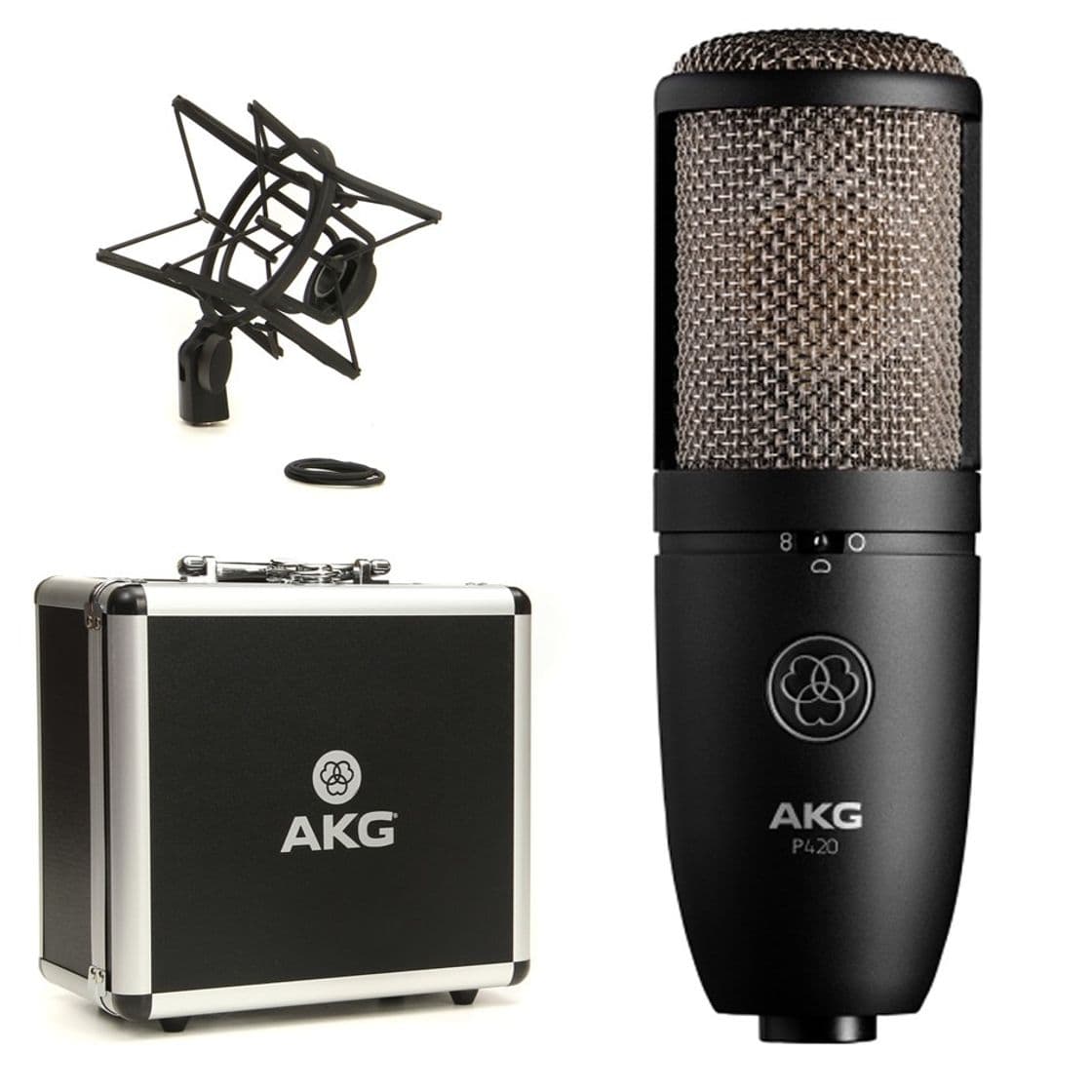 Producto AKG P420