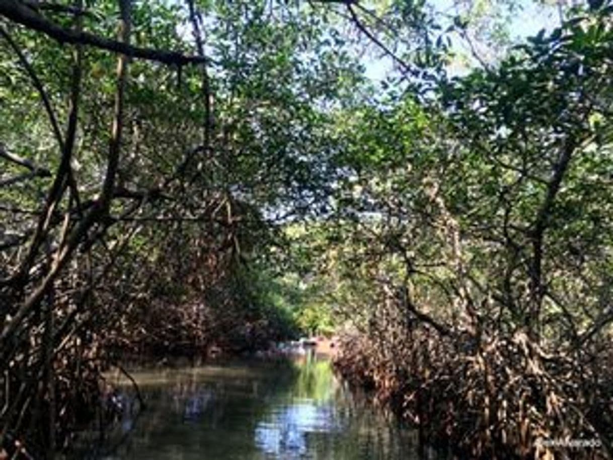 Place Laguna de Mandinga