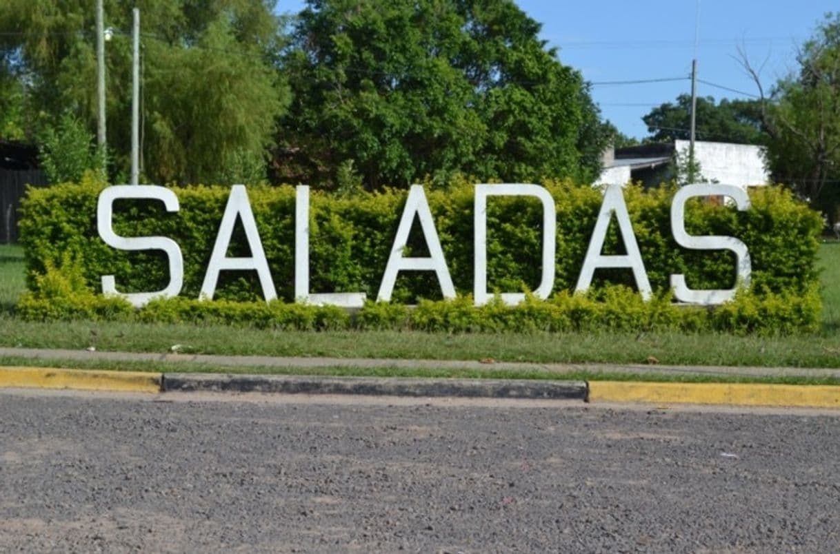 Lugar Saladas