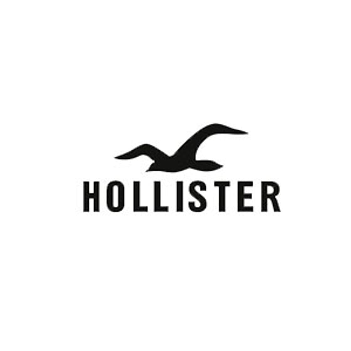 App Hollister