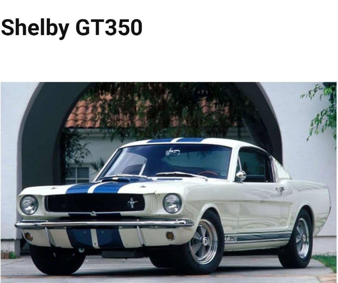 Book Shelby Mustang