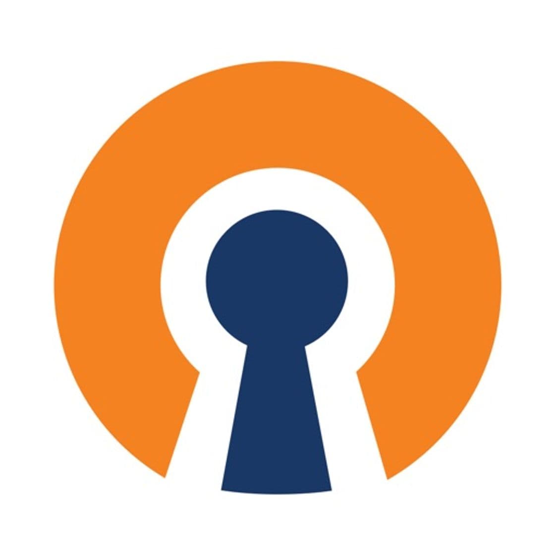 App OpenVPN Connect