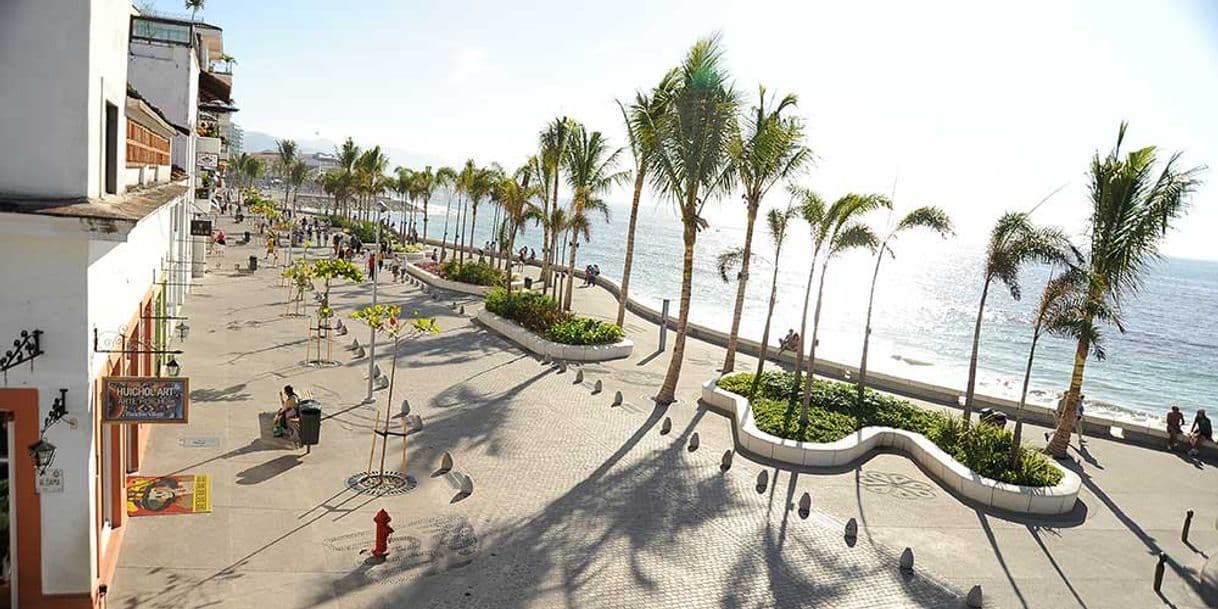 Place Malecón Puerto Vallarta