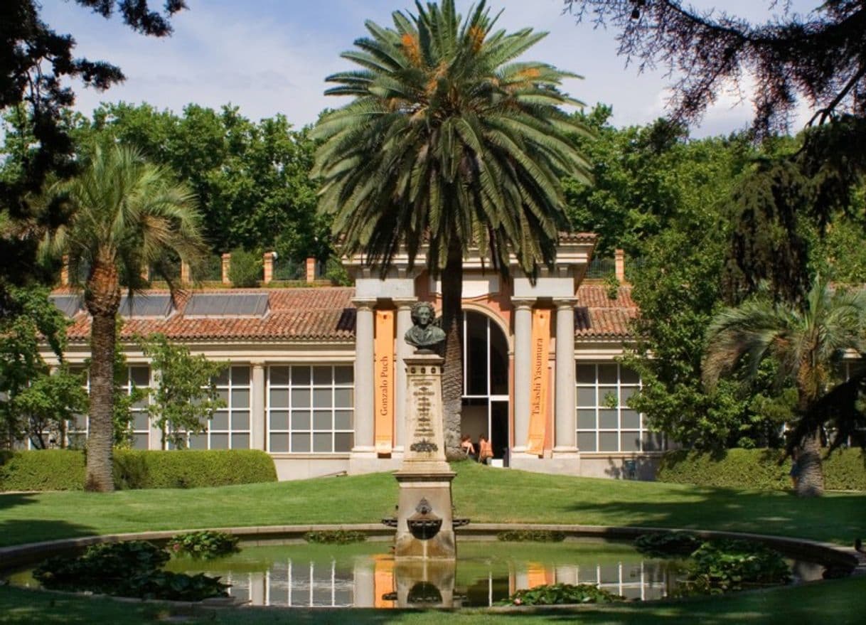 Place Real Jardín Botánico