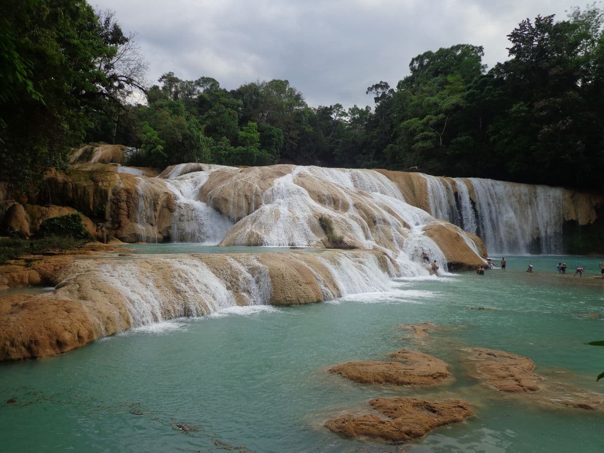 Lugar Cascadas Agua Azul