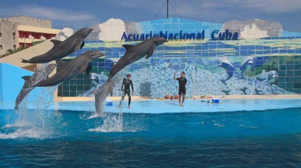 Lugar Acuario Nacional de Cuba