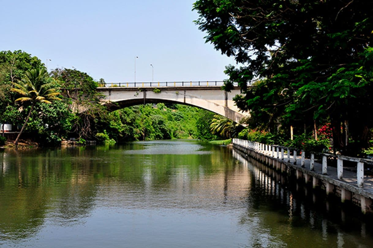 Lugar Parque Almendares