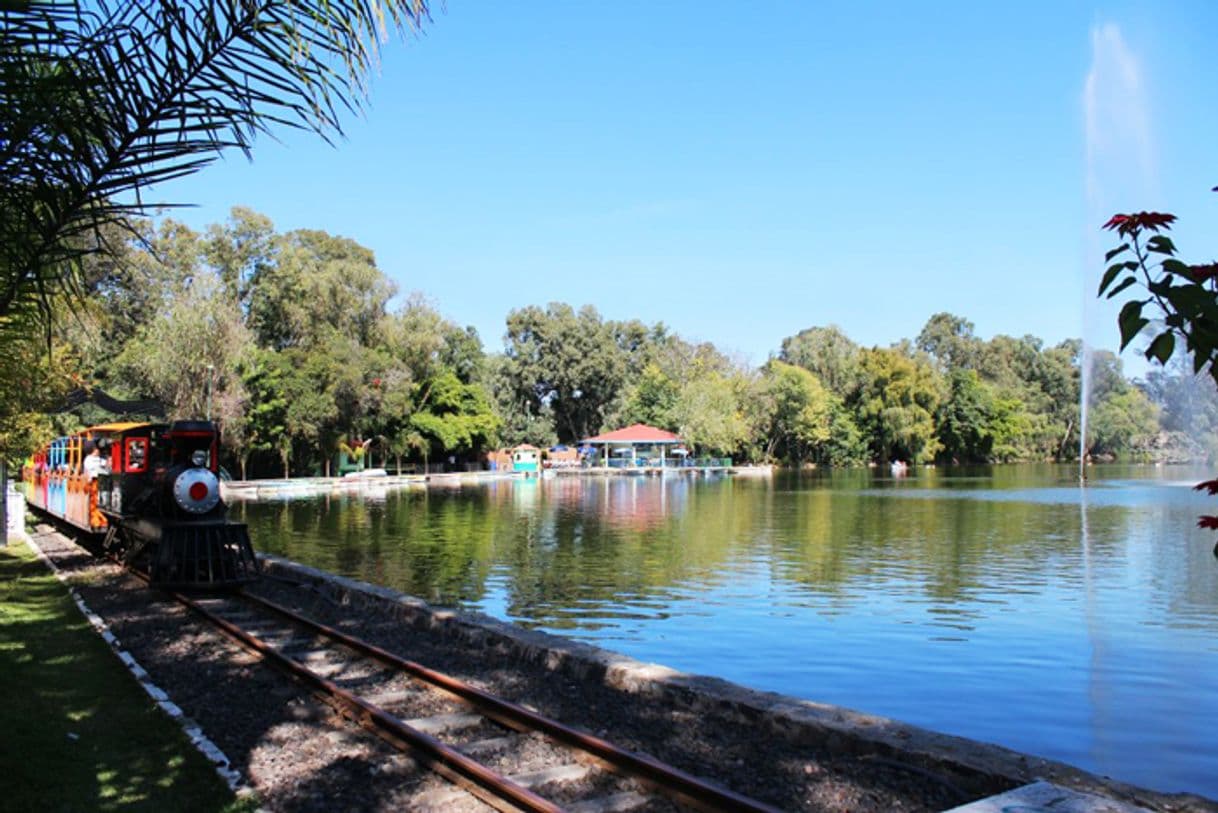 Lugar Parque Zoológico Benito Juárez