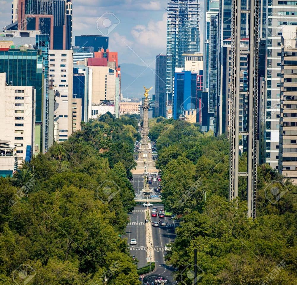 Lugar Avenida Paseo de la Reforma