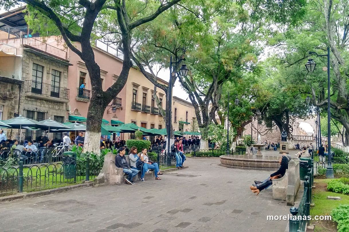 Lugar Jardín de Las Rosas