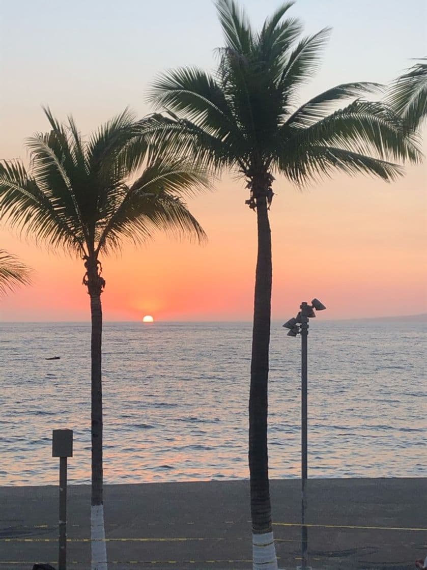 Lugar Puerto vallarta malecon