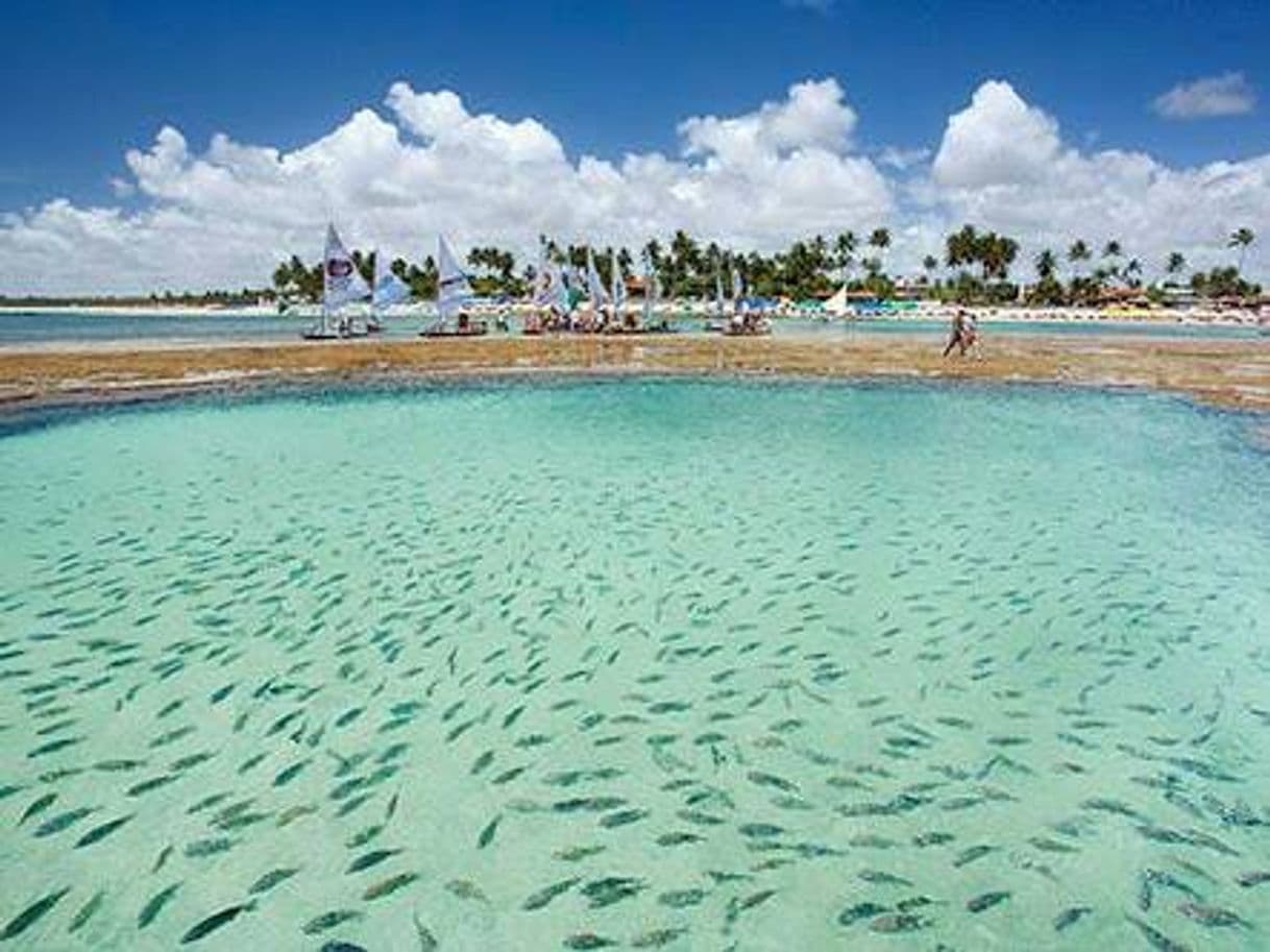 Place Porto de Galinhas