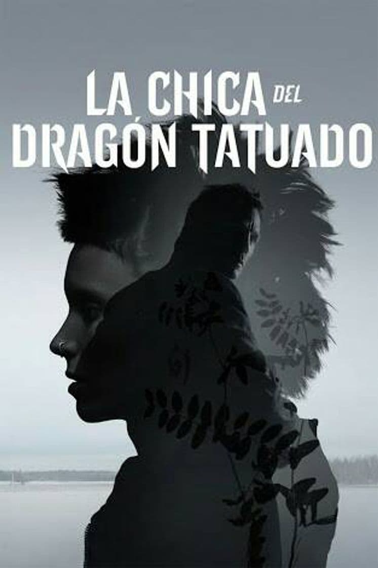 Movie The Girl with the Dragon Tattoo: Characters - Salander, Blomkvist and Vanger