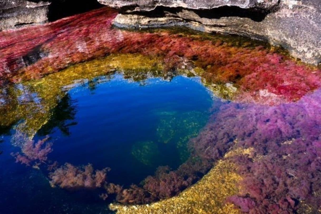 Lugar Caño Cristales