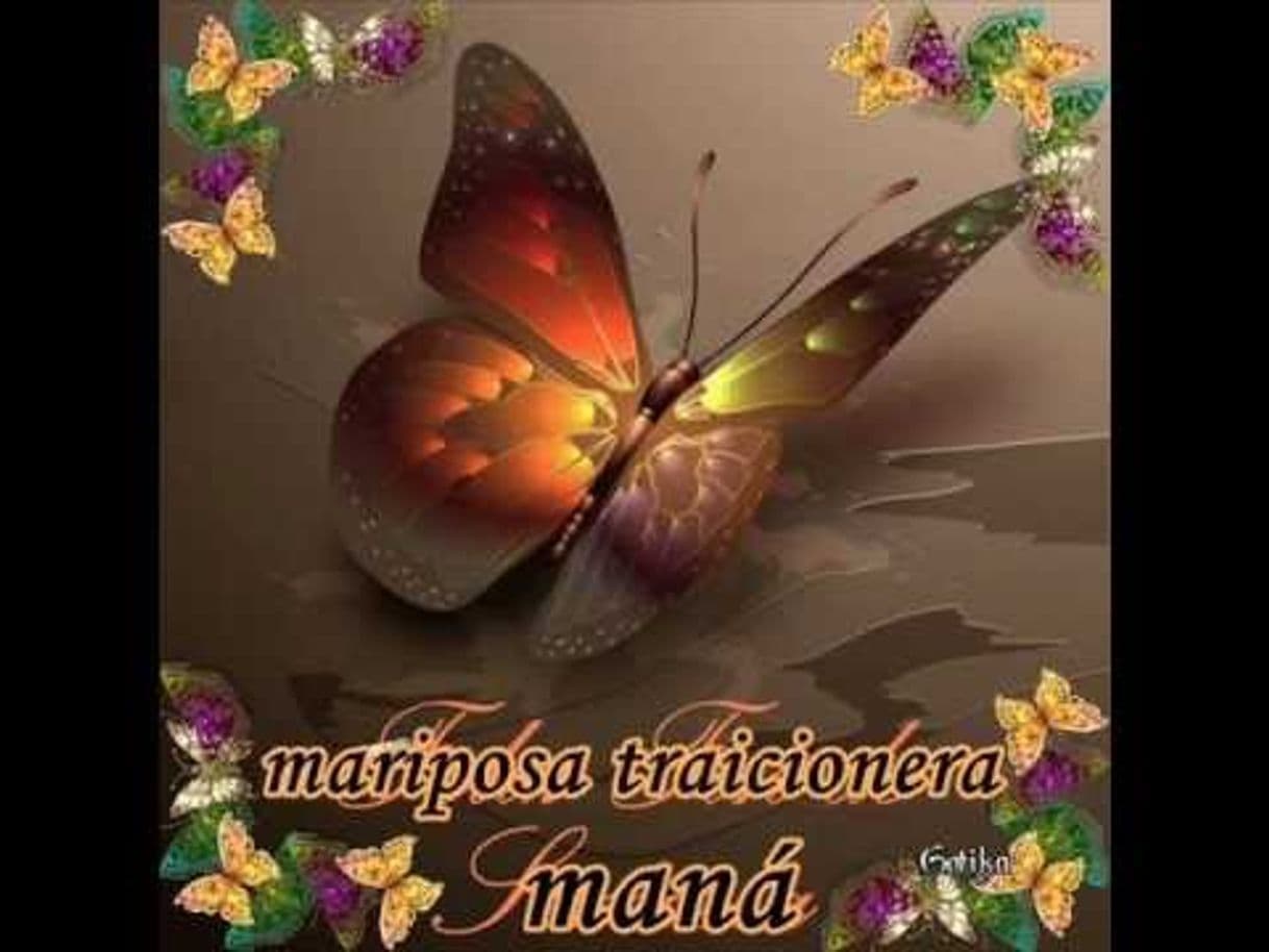 Canción Maná - Mariposa traicionera - YouTube