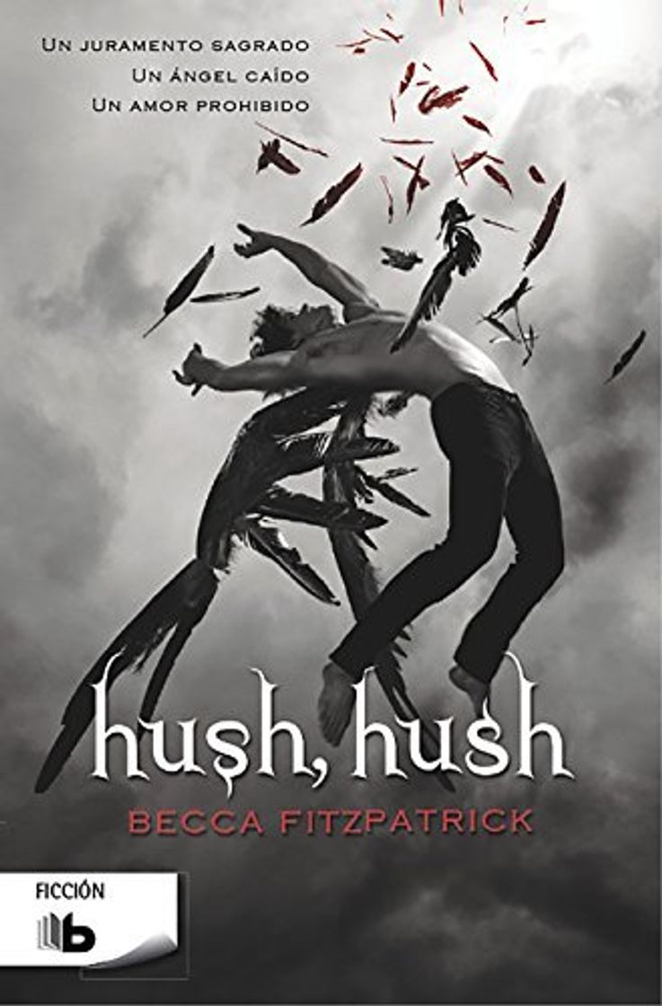 Book Hush, Hush