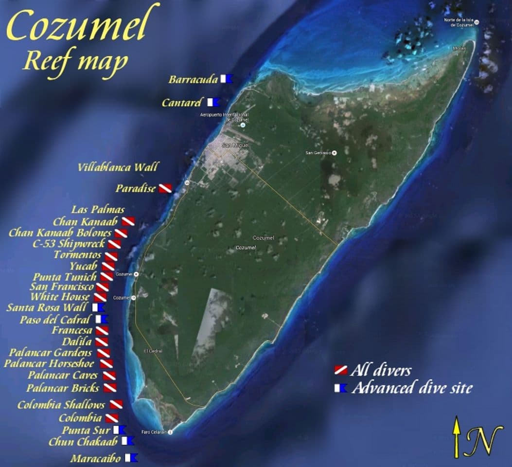 Place Cozumel Reef