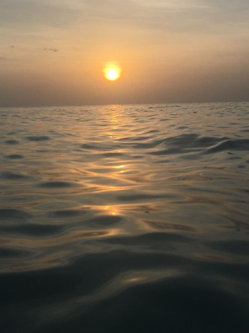 Lugar Isla de Holbox